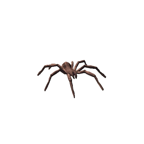 spider fat_02